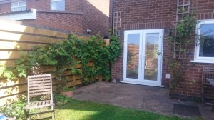 tmp_32133-DSC_17132050308724