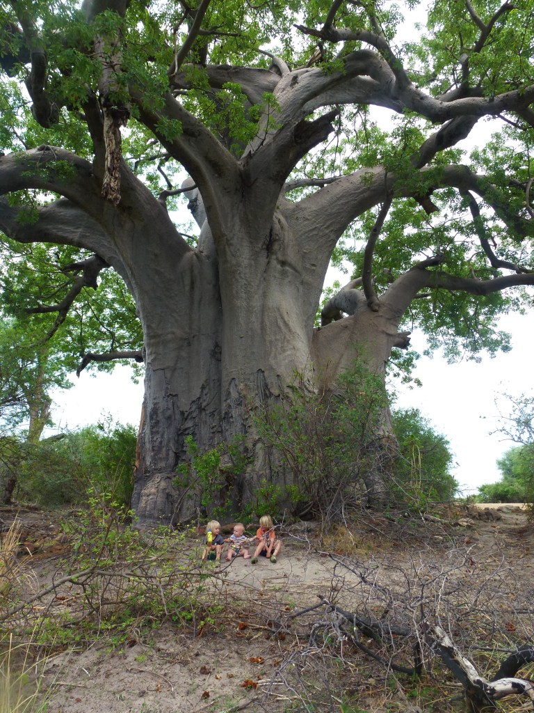 NamibiaAndBotswann2015more 096